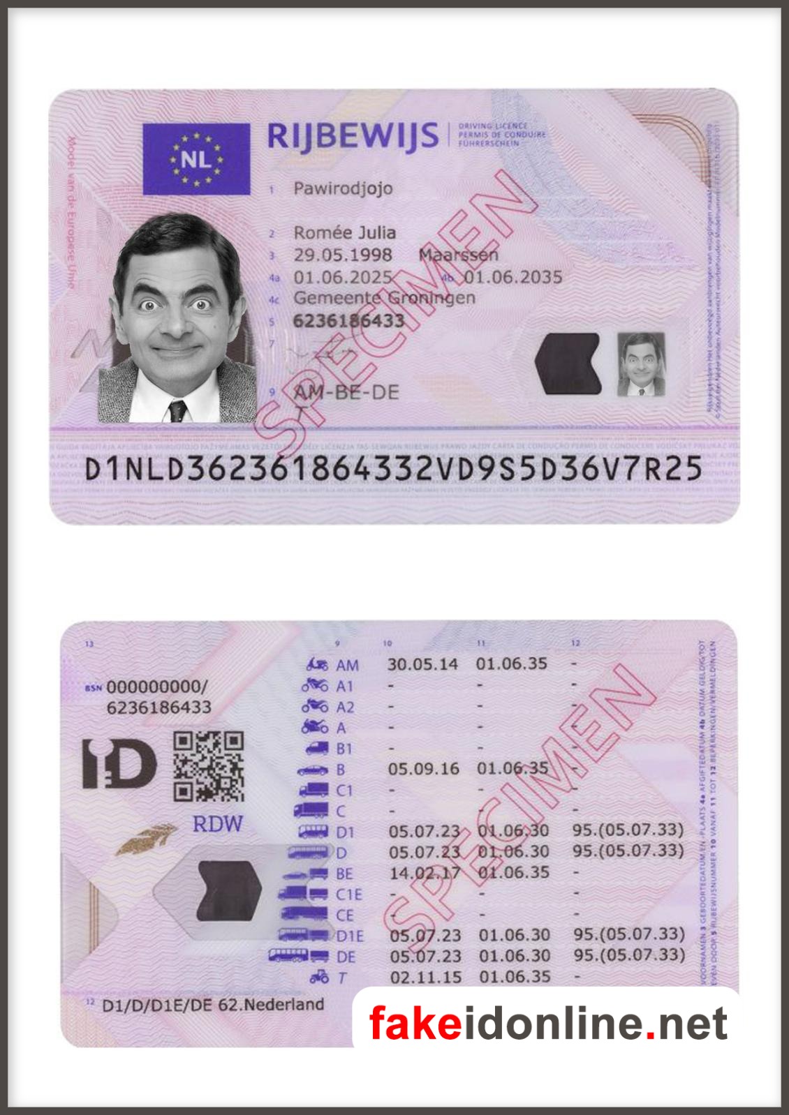 Netherlands Driver License PSD Template V2
